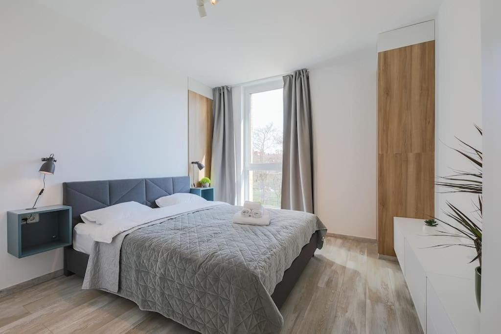 Luxury Apt. Near River & Parking Timisoara Exterior photo
